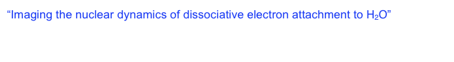 “Imaging the nuclear dynamics of dissociative electron attachment to H2O”  The 26th International Conference on Photonic, Electronic, and Atomic Collisions (ICPEAC).  Michigan State University, Kalamazoo, MI, July 22-28, 2009.